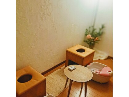 コトン(coton)の写真