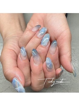 ティディーネスト(Tidynest)/■持ち込みネイル■