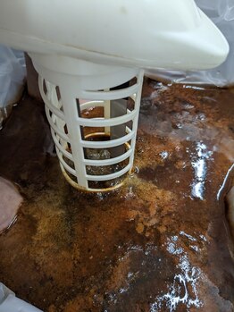 リボーン(Reboorn)/ゴッドクリーナー60分経過