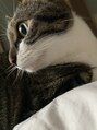 ピンクッション 平尾 エイプリルフールの日に出会った、保護猫さんと暮らしてます。