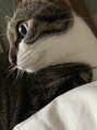 ピンクッション 平尾(PINKSHION)&nbsp;エイプリルフールの日に出会った、保護猫さんと暮らしてます。