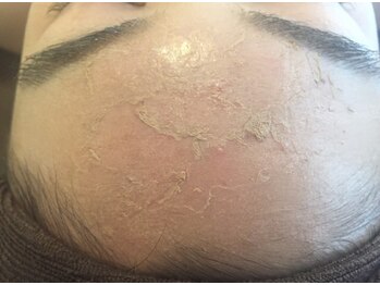 セレスティア(Cellestia)/