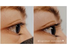 ルピナス(Lupinus)/まつげパーマ＊