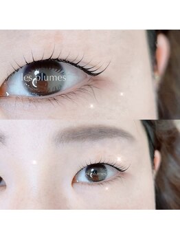 レ プリューム(les plumes)/カールラッシュリフト