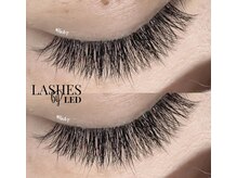 ウィート(WHeAT)/5Dボリュームラッシュ付け放題