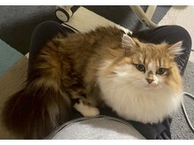 たかさき下小鳥鍼灸 接骨院/我が家の次男坊