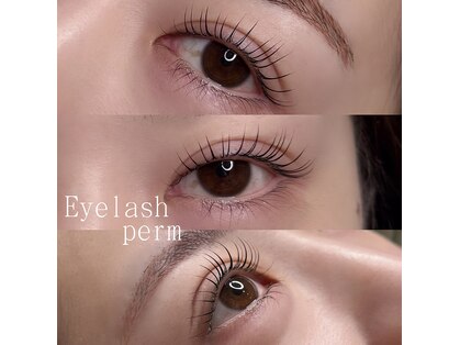 アマールシ 円山店(Amarsi)の写真