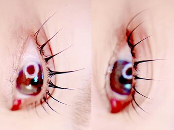 マロウ(mallow)/ハイブリッドラッシュカール