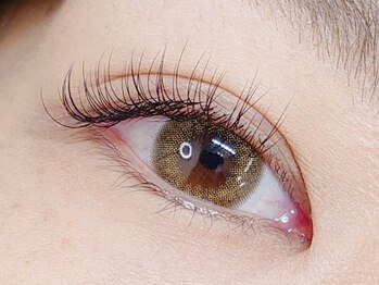 オリオン/セーブルエクステ