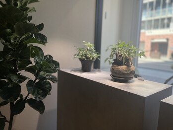 アルク美容整体院(ARUKU美容整体院)/