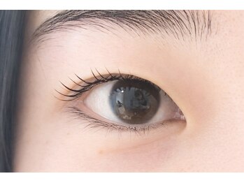 トトルナ(totoluna)/