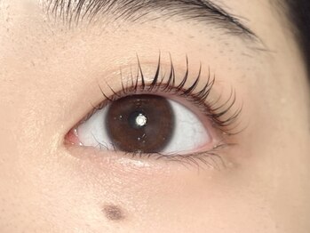 ネリネ(Nerine)/パリジェンヌラッシュリフト