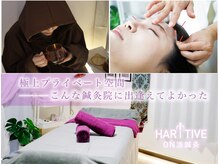 ハリティブ(HARITIVE)