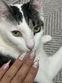 タギネイル(Tagi Nail) 女の子です。2歳で、特技はボールを取ってくることです。