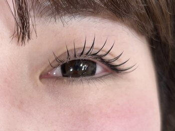 シフ(Sif)/フラットラッシュ120本