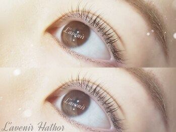 ラブニール ハトル(L'avenir Hathor)/まつげパーマ/ラッシュリフト