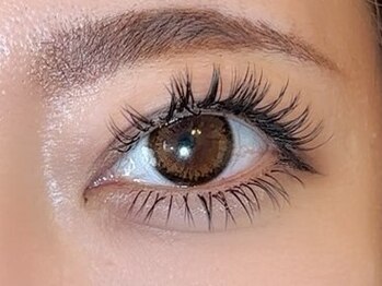 バンビズルーム(Bambi's Room)/上下バインドフラット