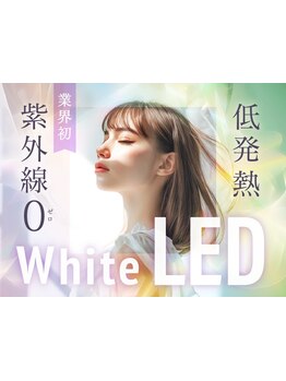 エクステの種類が豊富