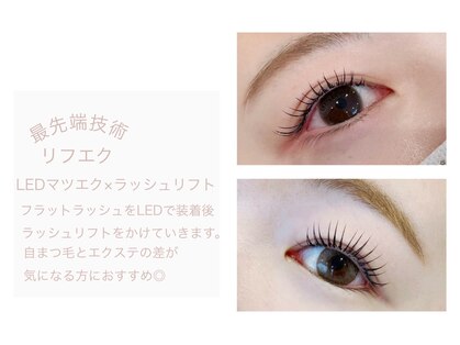 アイヴィー(ivy)の写真