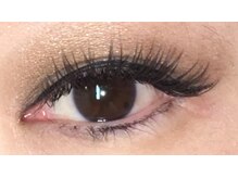 クインビー(Queen Bee)/フェザーセーブル・新・ブラウン