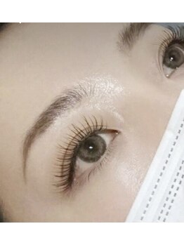 ハラン(haran)/フラットラッシュ１２０本