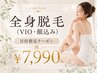 【特定日限定】8月27.28.29.30.31日/9月2.3日限定◎レディース全身脱毛¥7990
