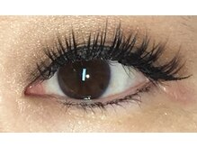 クインビー(Queen Bee)/フェザーセーブル・ブラック