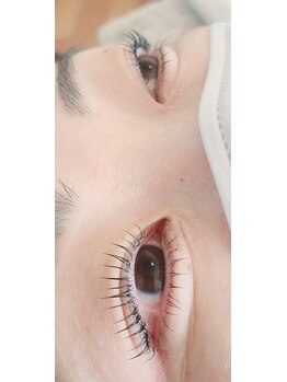 コア(Koa)/上下パリジェンヌ+ティント