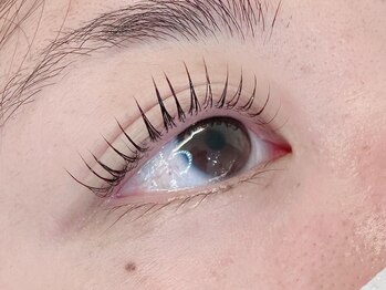 ローレル バイ スノードロップ 吉祥寺店(Laurel by Snowdrop)/まつげパーマ/まつ毛パーマ