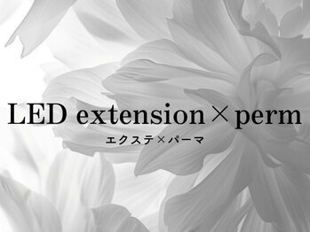 テント 町田店(tent)/《エクステ×パーマ》