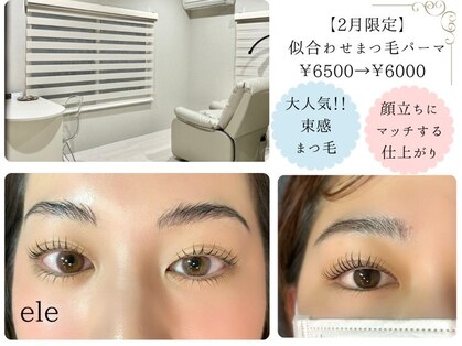 エレ(ele)の写真