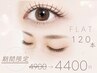 新規・再来【平日限定】大人気♪フラットラッシュ１２０本　4900円→4400円
