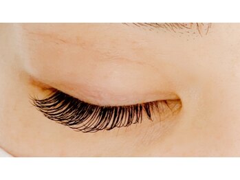 ブリンク(BLINK)/フラットラッシュ