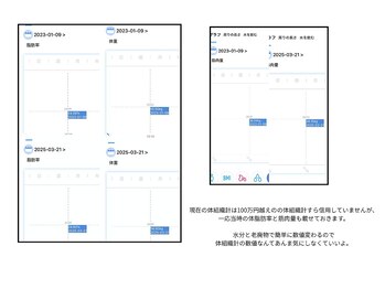 ビーエムビー(BMB)/ちなみに現代の体組織計とか、
