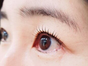 アイラッシュサロン ソル(SOL)/次世代まつげパーマ