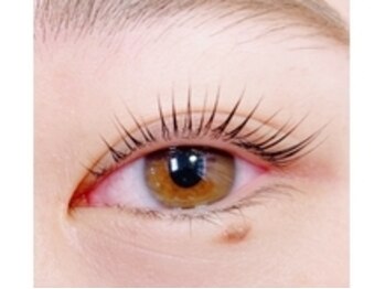 セレビアイ 銀座店/まつげパーマ