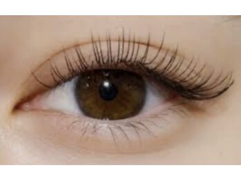 サロン ド シル(salon de cils)/フラットマットラッシュ