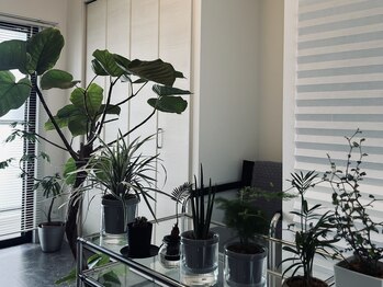 ヨウハ(YOHA)/落ち着いたプライベート空間