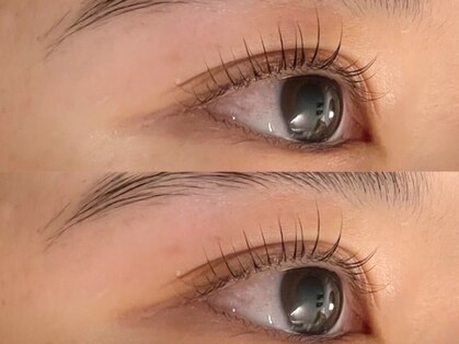 ヨイ(yoi)の写真