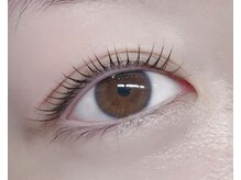 コットンローズ(CottonRose)