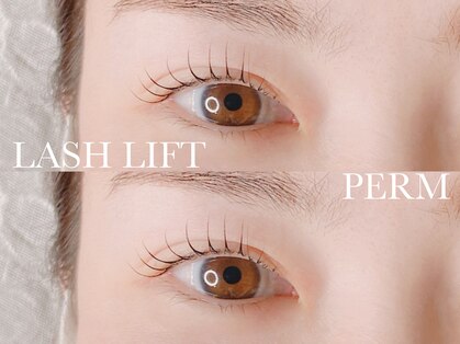 ナイロ(NiLO)の写真