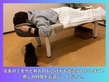 晴々の雰囲気（ミモザ店長と新人のおこげが癒しをさらに提供いたします！）