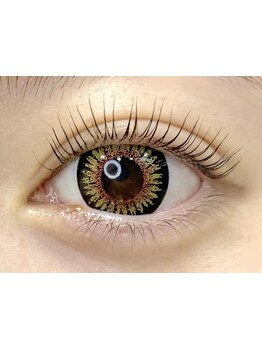 初めての方にオススメ