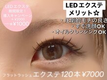 バイオレット(violets)