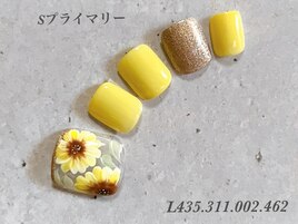 プライマリーコース