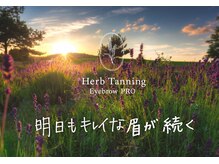 ハピフル 横浜菊名店(HAPPYFULL)の雰囲気（ハーブタンニングアイブロウ）