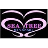 シーツリー(SEA TREE)のお店ロゴ