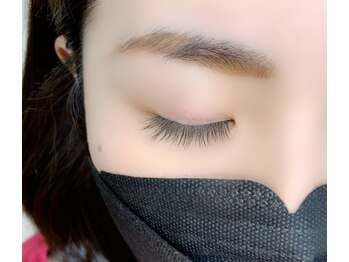 ルピナス(Lupinus)/LEDフラットラッシュ140本