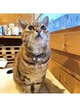 ウェリナ平和堂長久手院&nbsp;猫を2匹飼っています。キジトラの男の子でとても甘えん坊です！