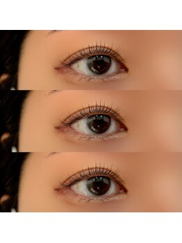 エル(ailes)/フラットマットラッシュ(100本)